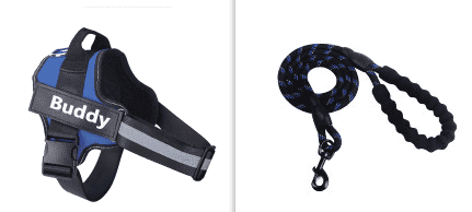 Fashion Simple Pet Leash Chest Strap Set (Option: Blue-XS)